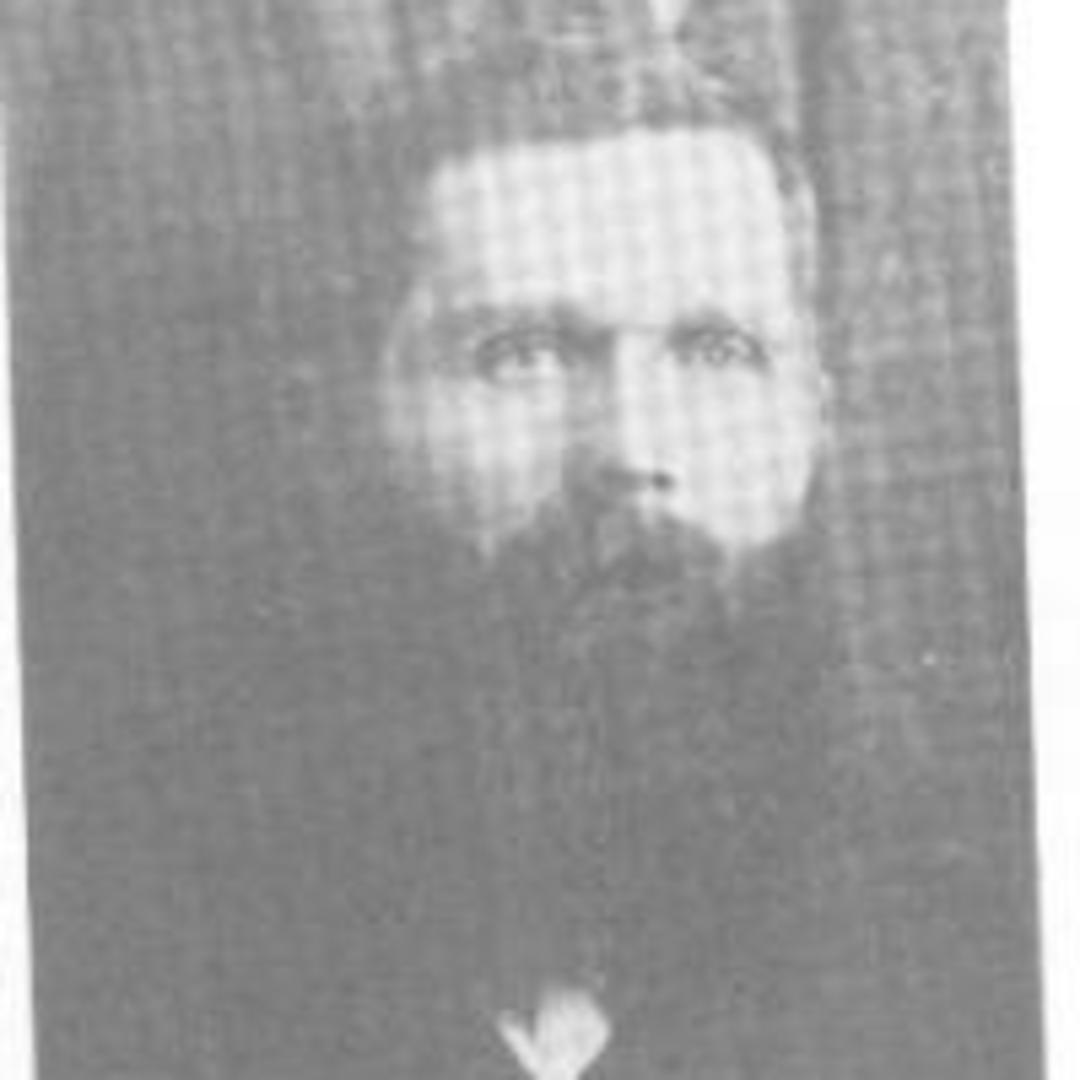 Albert Wilson Harmer (1846 - 1916) Profile